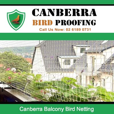 Canberra balcony bird netting installation protecting residential apartment from pest birds