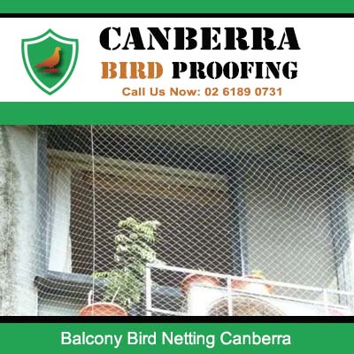 Balcony bird netting installation in Canberra protecting outdoor living space from birds