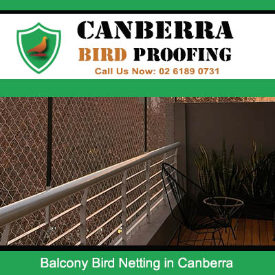 Bird netting installed on Canberra balcony railing to prevent pest bird access