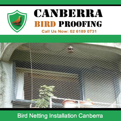 Bird netting installed on covered outdoor area ceiling in Canberra