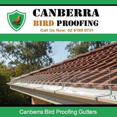 Canberra bird control gutter mesh system preventing pest birds from roof access