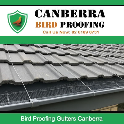 Bird proofing gutter protection installed on Canberra home with concrete tile roof