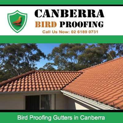 Bird proofing gutter protection installed on Canberra home