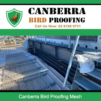Bird proofing mesh installation on Canberra commercial solar panel array roof