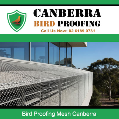 Bird proofing mesh installed on Canberra commercial building roofline and gutters