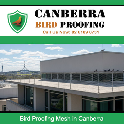 Bird proofing mesh installed on Canberra commercial warehouse rooftop perimeter