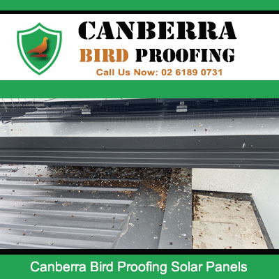 Solar panel bird proofing installation to prevent nesting in Canberra ACT