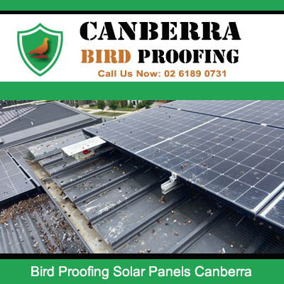 Professional solar panel bird protection system installed on Canberra roof