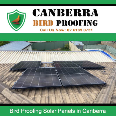 Solar panel bird protection mesh and barrier system in Canberra ACT