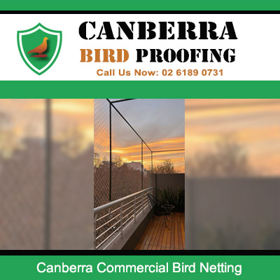 Commercial bird netting installation on Canberra building rooftop at sunset