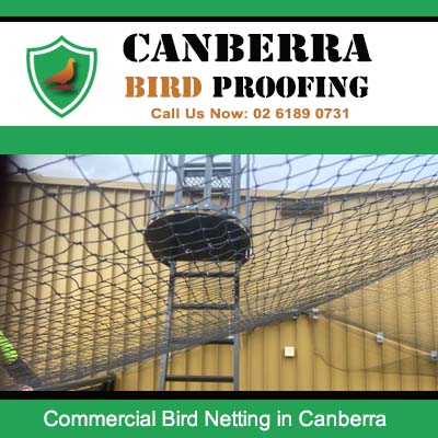 Commercial bird netting for industrial facilities in Canberra ACT